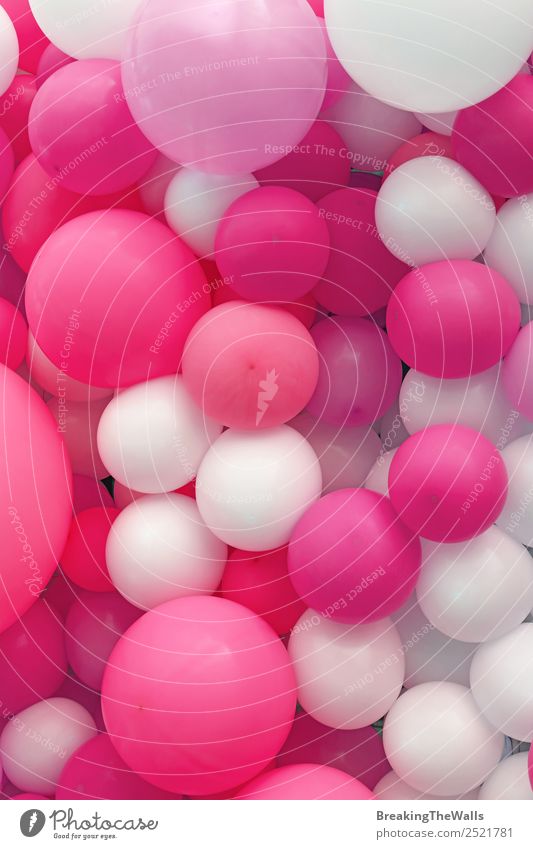 Nahaufnahme des Hintergrundes von violettrosa und weißen Luftballons Freude Feste & Feiern rot Farbe Konsistenz festlich purpur Konfektionsgröße Feiertag