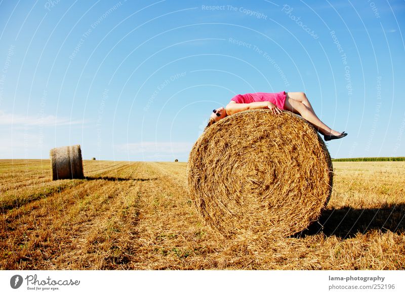 Die letzten Sonnenstrahlen... feminin Junge Frau Jugendliche Erwachsene 1 Mensch 18-30 Jahre Natur Sonnenlicht Sommer Herbst Schönes Wetter Feld Strohballen