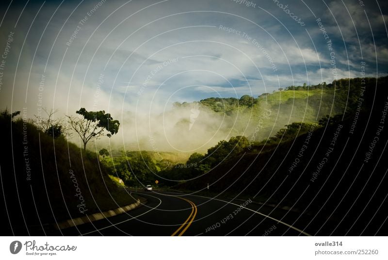 Landschaft Erde Luft Wolken Sommer Schönes Wetter Nebel Baum Wald Berge u. Gebirge Verkehr Verkehrswege Straßenverkehr Autobahn PKW fahren