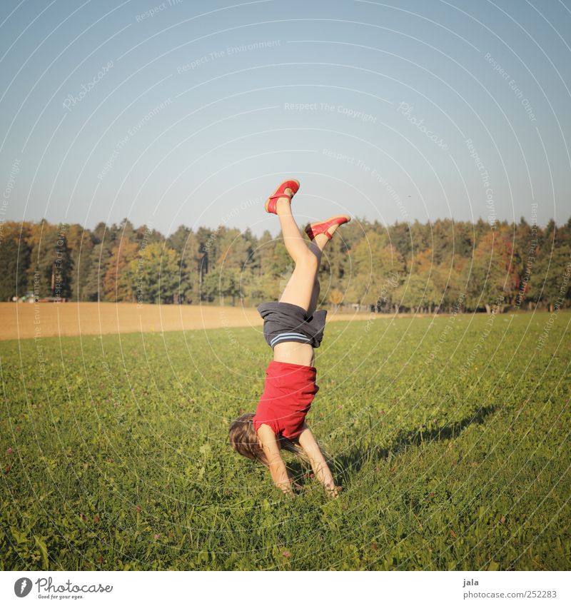 CHAMANSÜLZ | handstandhexel Mensch Kind Mädchen 1 3-8 Jahre Kindheit Umwelt Natur Landschaft Himmel Herbst Pflanze Baum Gras Wiese Wald schön Freude Glück