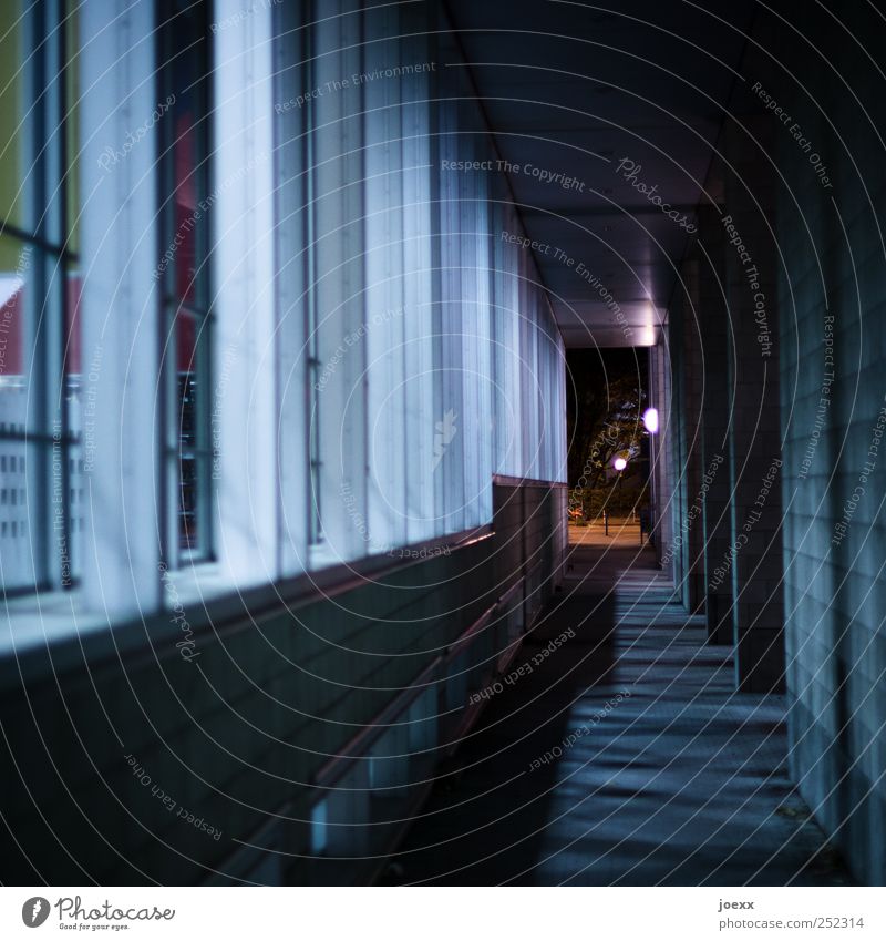 Drinnen und draußen Haus Mauer Wand Fassade Fenster hoch grau schwarz weiß Gang Farbfoto Gedeckte Farben Außenaufnahme Menschenleer Nacht Kunstlicht Schatten