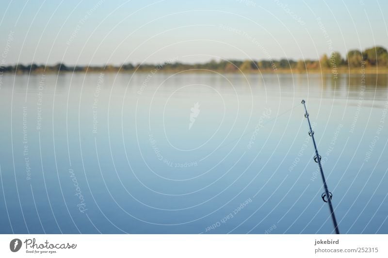 Angleridyll harmonisch Erholung ruhig Freizeit & Hobby Angeln Landschaft Wasser Himmel Horizont Seeufer Angelrute fangen genießen frei natürlich blau