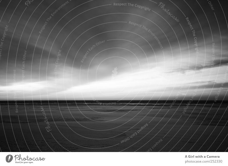 Spiekeroog I vast Umwelt Natur Landschaft Sand Himmel Wolken Gewitterwolken Küste außergewöhnlich dunkel fantastisch frisch gigantisch groß Unendlichkeit lang