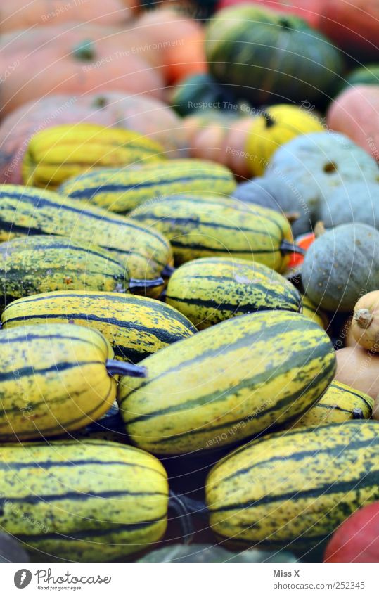 Kürbisse Lebensmittel Gemüse Ernährung Erntedankfest Halloween rund mehrfarbig Zierkürbis Wochenmarkt Gemüsemarkt Marktstand Schaufenster Gemüsehändler Herbst