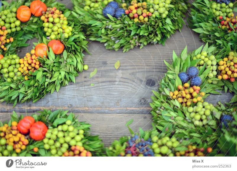 Rahmen Erntedankfest Herbst grün Kranz Gesteck Blumenhändler Wochenmarkt Floristik verkaufen Dekoration & Verzierung Beeren Kreis Immergrüne Pflanzen Farbfoto