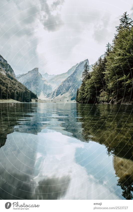 Seealpsee Freizeit & Hobby Ferien & Urlaub & Reisen Tourismus Ausflug Abenteuer Freiheit Umwelt Natur Landschaft Herbst Alpen Berge u. Gebirge natürlich