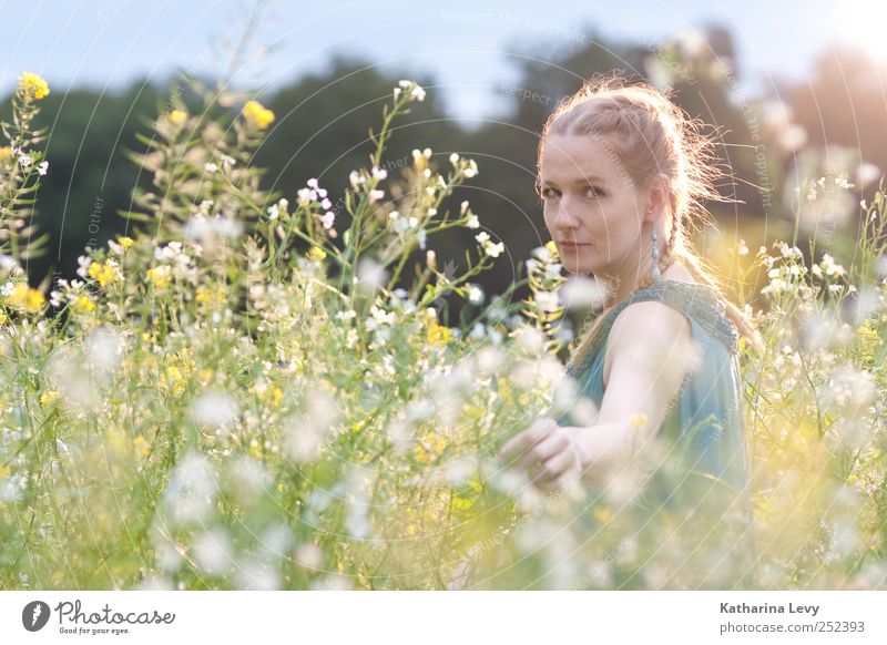 Feld, Wald & Wiese Gesundheit harmonisch Ferien & Urlaub & Reisen Ausflug Sommerurlaub Mensch feminin Frau Erwachsene Kopf Arme Hand 1 30-45 Jahre Pflanze Blume