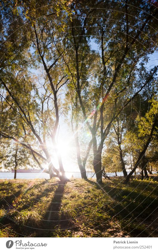 Indian Summer Freizeit & Hobby Ferien & Urlaub & Reisen Tourismus Ausflug Abenteuer Ferne Sommer Sonne Sonnenbad Strand Meer Umwelt Natur Landschaft Urelemente