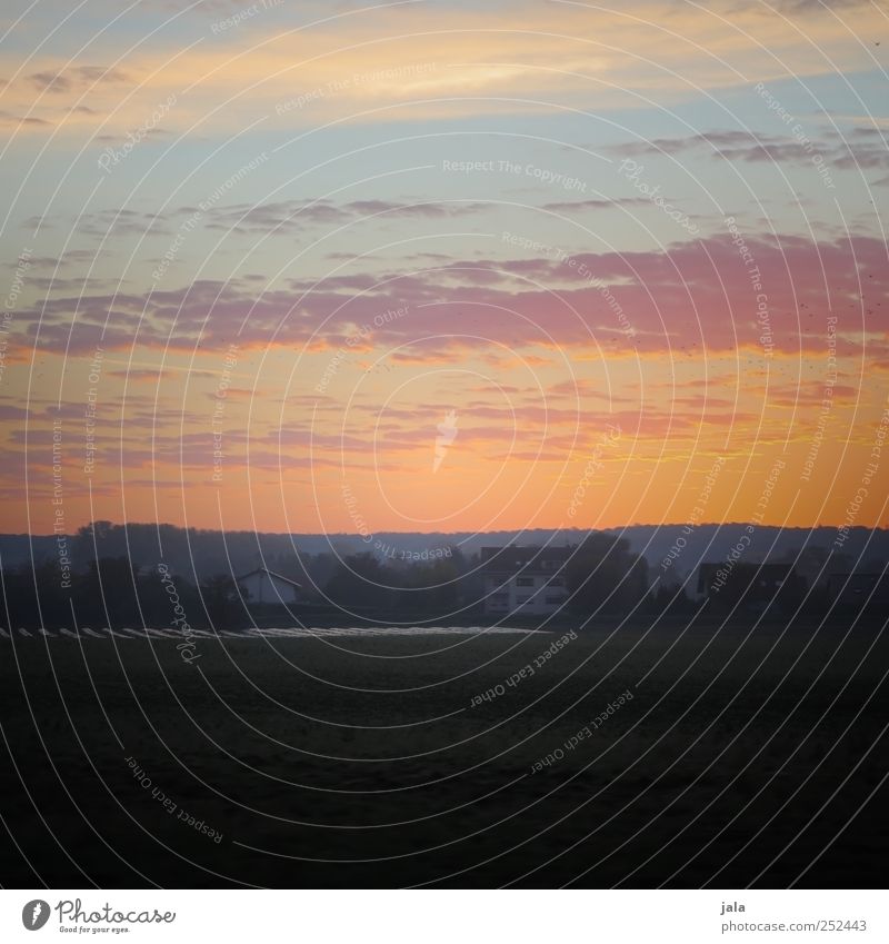 sonne auf. Umwelt Natur Landschaft Himmel Sonnenaufgang Sonnenuntergang Herbst Pflanze Baum Feld Dorf Haus natürlich Farbfoto Außenaufnahme Menschenleer Morgen