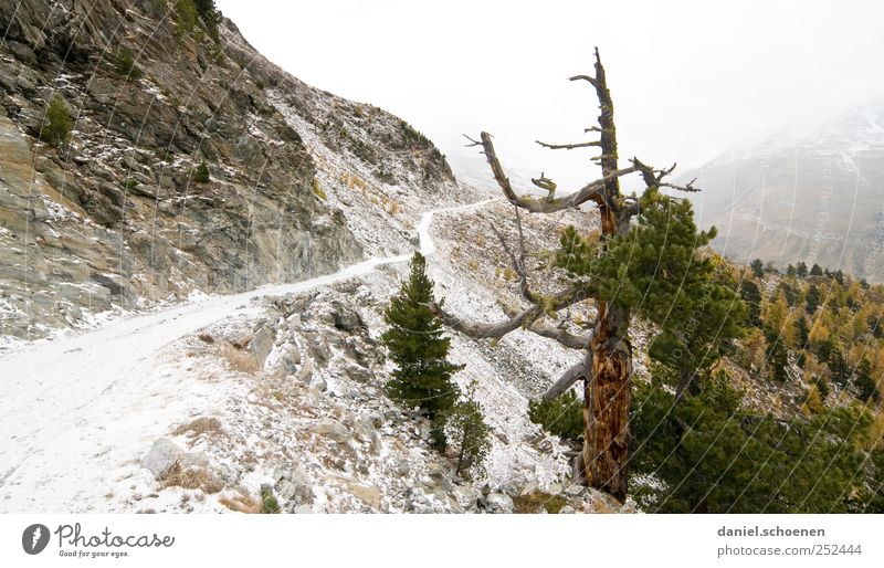 Wanderweg Ferien & Urlaub & Reisen Berge u. Gebirge wandern Umwelt Natur Landschaft Herbst Eis Frost Schnee Baum Alpen Wege & Pfade Ziel Zukunft Schweiz steinig