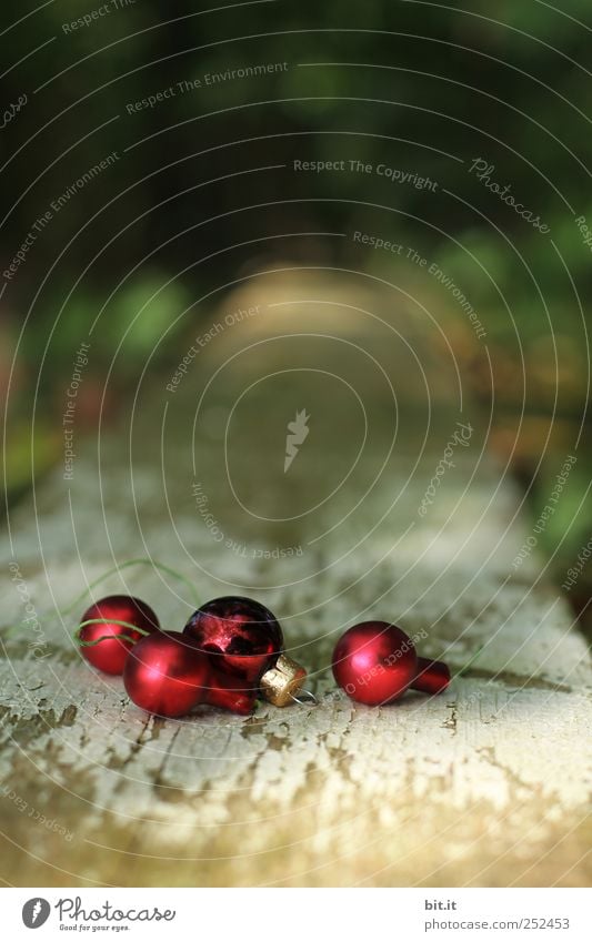 Kugellager Feste & Feiern Umwelt Natur Kitsch Krimskrams Glas glänzend liegen rund schön rot Freude Weihnachtsdekoration Weihnachten & Advent Christbaumkugel