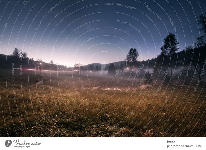 Metapher Natur Landschaft Himmel Herbst Schönes Wetter Nebel Baum Wiese Wald Dorf blau braun grün schwarz ruhig Erholung Farbfoto mehrfarbig Außenaufnahme