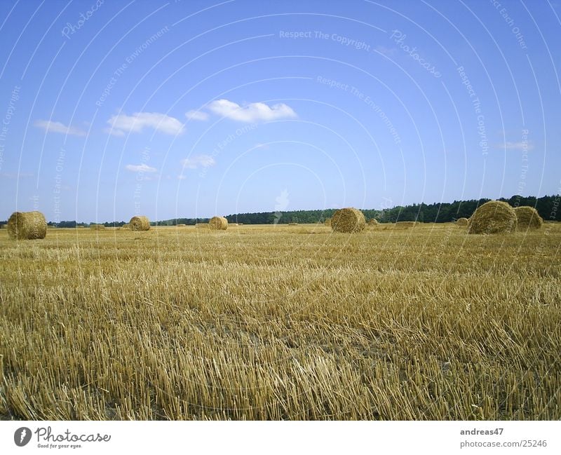 Erntezeit Feld Stroh Landwirtschaft Strohballen Getreide