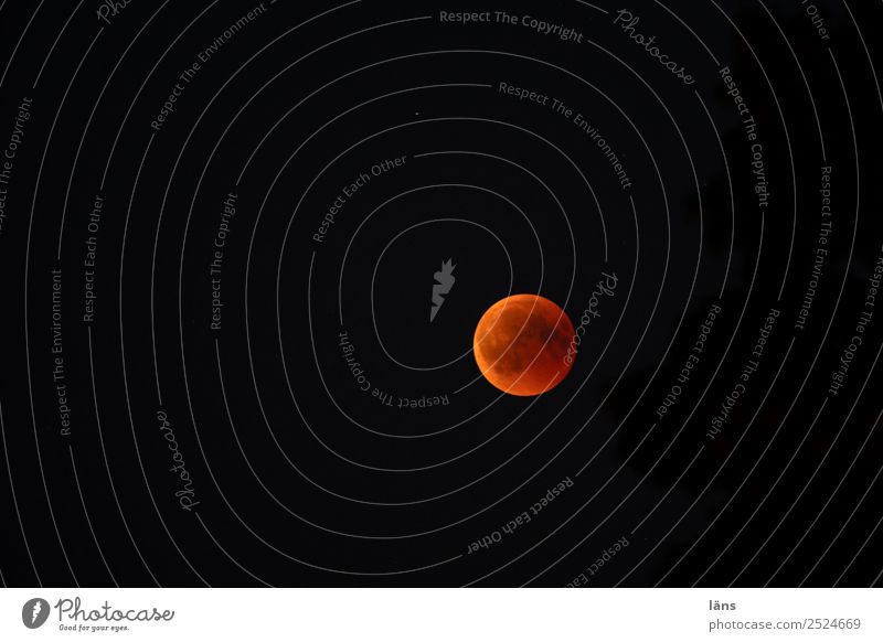 Totale Mondfinsternis Nachthimmel Vollmond außergewöhnlich Himmel Kernschatten Farbfoto Textfreiraum links Textfreiraum oben Textfreiraum unten