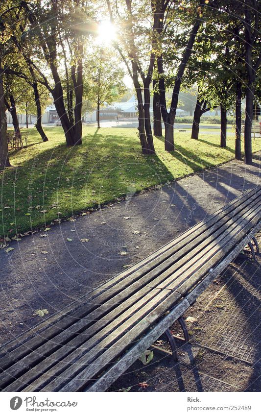 .taking a rest harmonisch Wohlgefühl Zufriedenheit Sinnesorgane Erholung ruhig Meditation Ruhestand Feierabend Herbst Park Hauptstadt Stadtrand Menschenleer