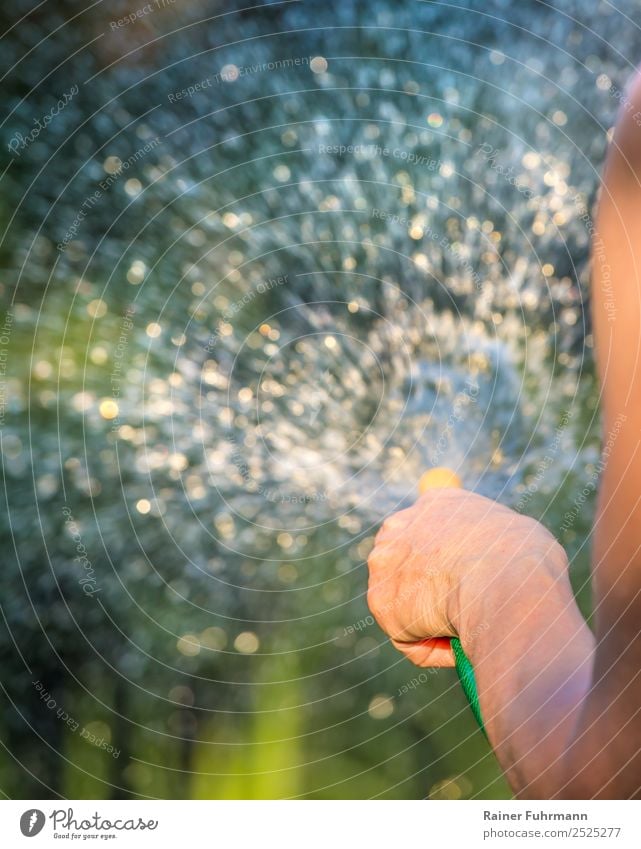 Eine Frau hält einen Wasserschlauch in der Hand und wässert ihren Garten. Mensch feminin Erwachsene 1 Umwelt Natur Sonnenlicht Schönes Wetter Wärme Dürre Dorf