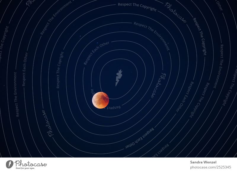 Blutmond Natur Himmel Wolkenloser Himmel Nachthimmel Mond Mondfinsternis Vollmond Sommer Schönes Wetter entdecken Blick fantastisch orange rot Naturerlebnis