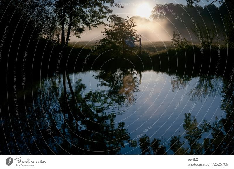 Still fließend Umwelt Natur Landschaft Pflanze Luft Wasser Wolkenloser Himmel Horizont Herbst Klima Schönes Wetter Baum Sträucher Wiese Bach Wasseroberfläche