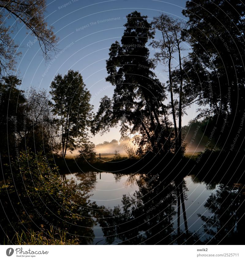 Nebel, Sonne, Wasser Umwelt Natur Landschaft Pflanze Wolkenloser Himmel Horizont Herbst Klima Schönes Wetter Baum Sträucher Bach Flussufer Wasseroberfläche