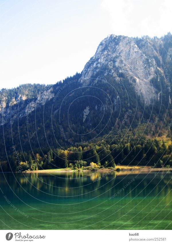 Alpsee wandern Umwelt Natur Landschaft Wasser Herbst Schönes Wetter Pflanze Baum Wald Felsen Alpen Berge u. Gebirge Gipfel Seeufer Schwimmen & Baden hoch