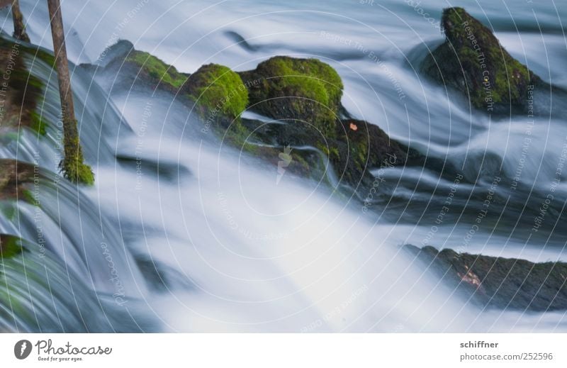 Alles im Fluss Natur Wasser Moos Felsen Flussufer Bach ästhetisch Zufriedenheit Idylle fließen Geplätscher ruhig natürlich Urelemente Leben Wellness Farbfoto