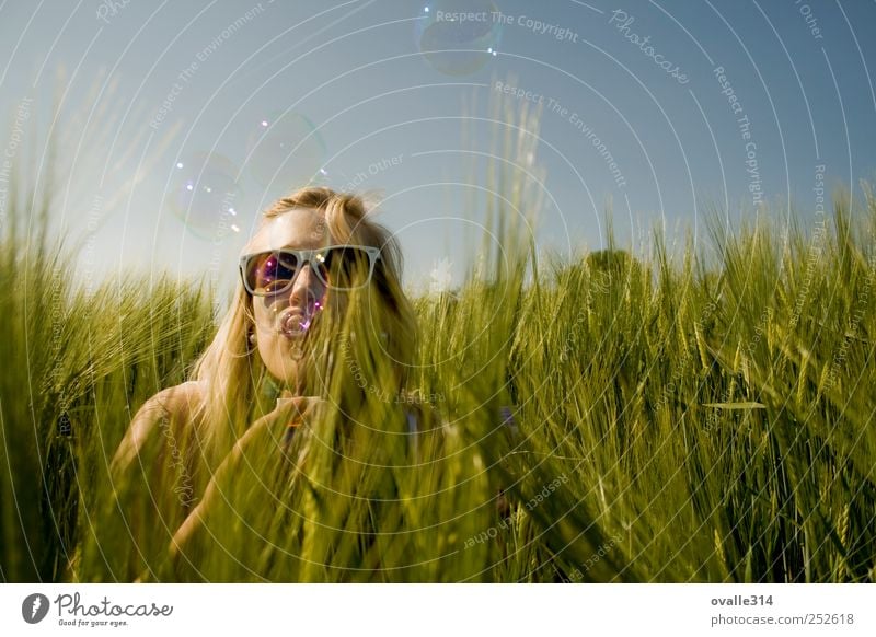 Freude schön Freiheit Sommer feminin Junge Frau Jugendliche Erwachsene Kopf 1 Mensch 18-30 Jahre Luft Sonnenlicht Pflanze Feld Sonnenbrille blond Blühend