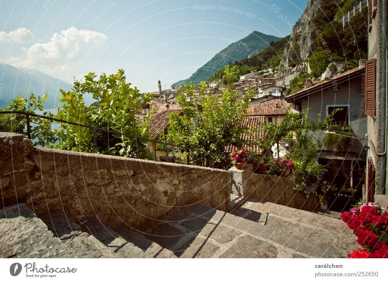 ein bissle Urlaub Dorf Menschenleer Treppe Gardasee Limone Altstadt Sommer Sommerurlaub sommerlich Berghang Urlaubsstimmung Urlaubsfoto Farbfoto mehrfarbig