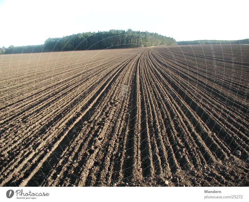 Acker Landwirtschaft Feld Herbst säen Ebene Sachsen Natur