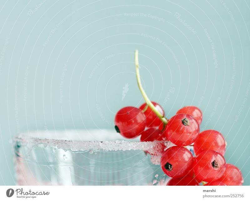 Zucker für die Bären Lebensmittel Frucht Ernährung Saft Glas süß blau rot Zuckerrand Johannisbeeren Beeren Dekoration & Verzierung lecker Farbfoto Innenaufnahme