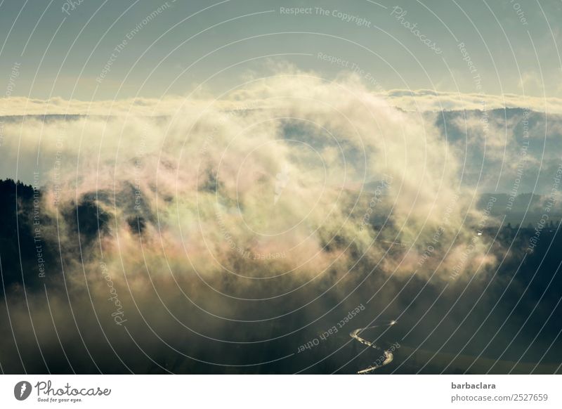 heiße Luft | steigt nach oben Landschaft Urelemente Himmel Wolken Schönes Wetter Nebel Wald Hügel Berge u. Gebirge Straße wild blau Stimmung Horizont Klima