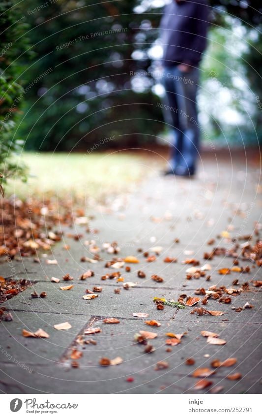 Der Mann, der immer auf die Frau mit der Kamera warten muss Freizeit & Hobby Spaziergang Spazierweg Ausflug Mensch Erwachsene Leben 1 Natur Herbst Gras