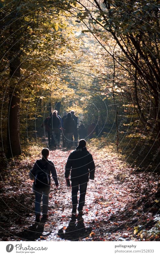 autumn leaves wandern Mensch maskulin Freundschaft Leben 2 Menschengruppe Umwelt Natur Landschaft Herbst Schönes Wetter Baum Blatt Wald genießen laufen