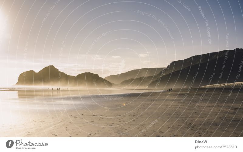 Bethells Beach Natur Landschaft Erde Sand Wasser Sonne Sonnenlicht Frühling Schönes Wetter Nebel Felsen Küste Strand Meer Auckland Neuseeland entdecken