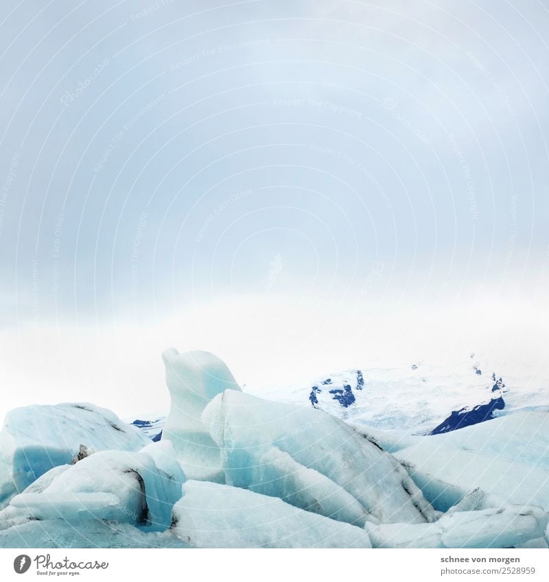 Eiswürfel Umwelt Natur Landschaft Himmel Klimawandel Frost Schnee Gletscher Bucht Fjord See frieren genießen Ferien & Urlaub & Reisen Stimmung Begeisterung