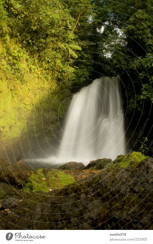 Kaskaden Ferien & Urlaub & Reisen Tourismus Natur Landschaft Wasser Sommer Schönes Wetter Wald Teich Wasserfall fallen wandern Flüssigkeit nass natürlich grün