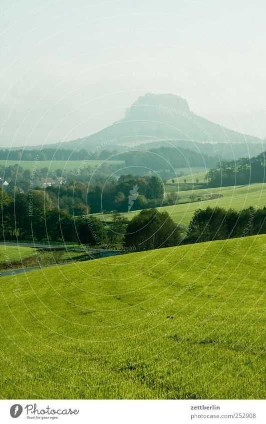 Lilienstein am Vormittag Freizeit & Hobby Ferien & Urlaub & Reisen Tourismus Ausflug Abenteuer Ferne Freiheit Berge u. Gebirge wandern Klettern Bergsteigen