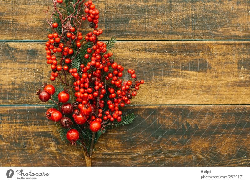 Zarter Weihnachtskranz aus Kiefernzapfen auf Holzuntergrund Frucht Winter Dekoration & Verzierung Feste & Feiern Weihnachten & Advent Natur Pflanze Baum Blatt