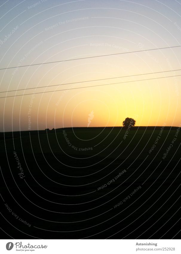 am Horizont Umwelt Natur Landschaft Pflanze Luft Himmel Wolkenloser Himmel Sonne Sommer Wetter Schönes Wetter Baum Wiese Feld Hügel dunkel Leitung