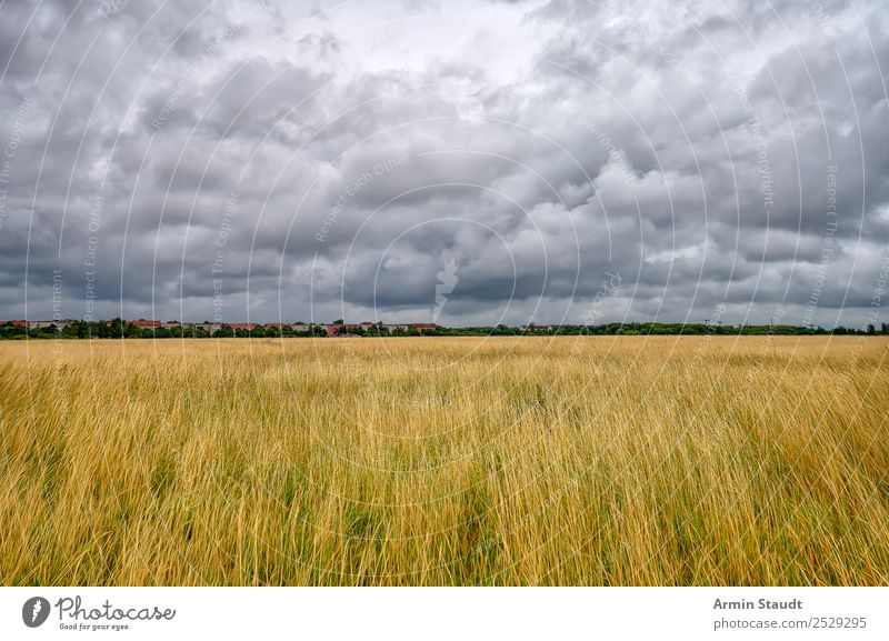 Berliner Wetter Ausflug Ferne Umwelt Natur Landschaft Urelemente Luft Himmel Wolken Gewitterwolken Klima schlechtes Wetter Unwetter Regen Wiese Hauptstadt Haus