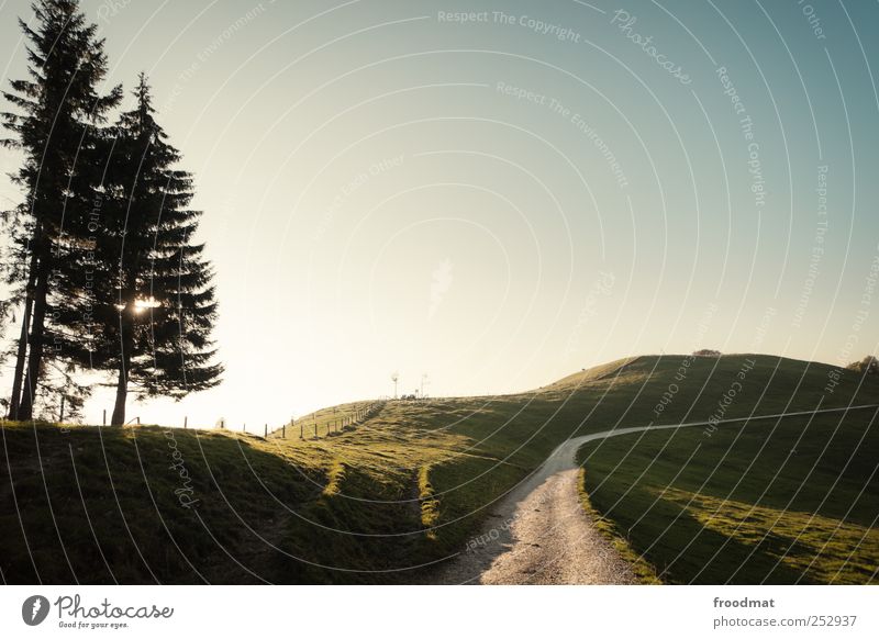 weg Tourismus Ausflug Abenteuer Ferne wandern Umwelt Natur Landschaft Sommer Herbst Schönes Wetter Baum Wiese Hügel Berge u. Gebirge Sehnsucht Heimweh Fernweh