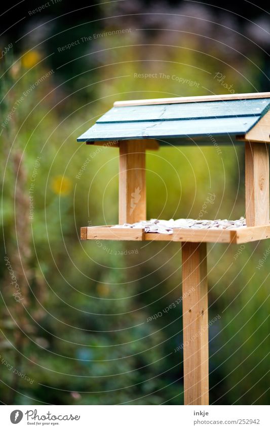 "FLY-IN" Freude Freizeit & Hobby Häusliches Leben Garten Herbst Sträucher Blumenbeet Menschenleer Futterhäuschen Futterplatz Futterspender füttern stehen eckig