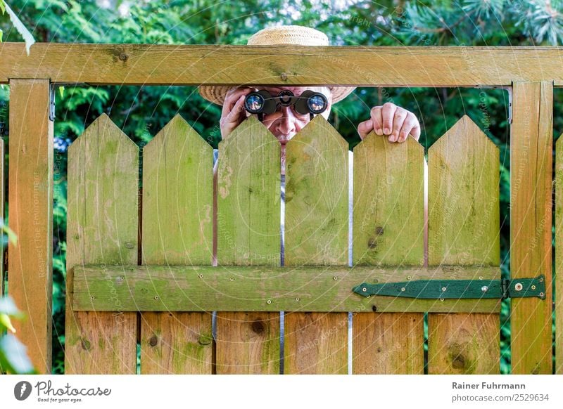 Ein neugieriger Nachbar schaut über einen Gartenzaun. Erblickt durch ein Fernglas. Mensch maskulin Mann Erwachsene Männlicher Senior Kopf 1 60 und älter Natur