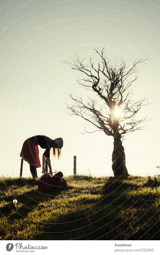 tideland Picknick Erholung Sonne Mensch feminin Junge Frau Jugendliche Erwachsene Natur Herbst Schönes Wetter Baum Gras Wiese Wege & Pfade beobachten genießen