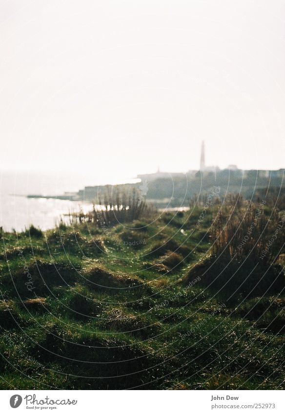 iffy portland Ferien & Urlaub & Reisen Abenteuer Ferne Meer Insel Horizont Gras Sträucher Strand Bucht Unendlichkeit Sehnsucht Heimweh Fernweh Hoffnung Zukunft