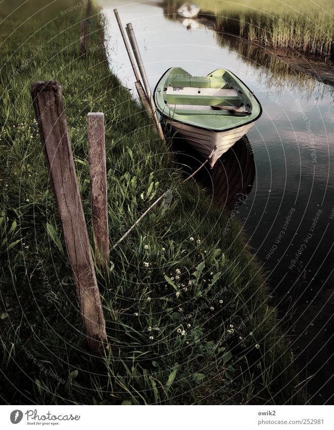 Morgens am Kanal Umwelt Natur Landschaft Pflanze Wasser Klima Schönes Wetter Gras Schilfrohr Verkehr Verkehrsmittel Verkehrswege Schifffahrt Ruderboot Holzpfahl