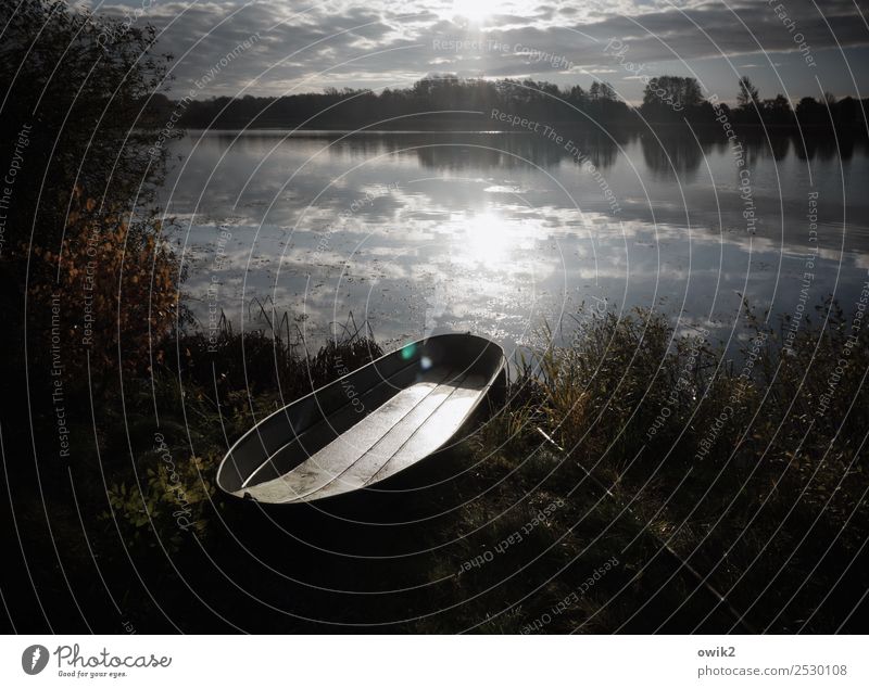 Ausgebootet Umwelt Natur Landschaft Pflanze Wasser Himmel Wolken Horizont Frühling Schönes Wetter Baum Gras Sträucher Seeufer Lausitz Deutschland Fischerboot