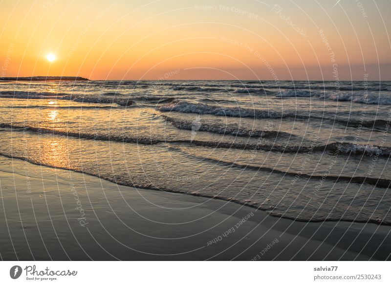 Morgenstimmung Ferien & Urlaub & Reisen Tourismus Ferne Sommerurlaub Strand Meer Landschaft Himmel Wolkenloser Himmel Horizont Sonne Sonnenaufgang