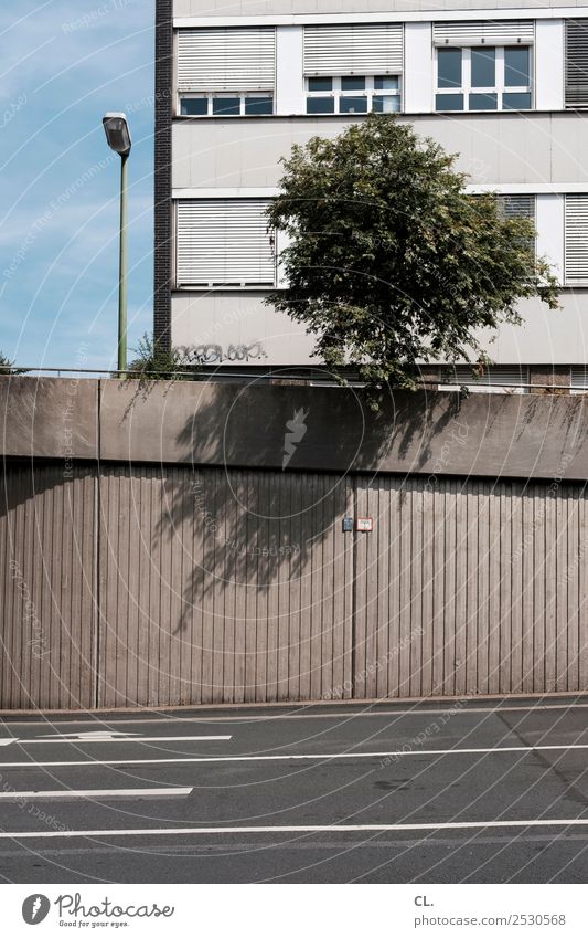 natur urban Himmel Baum Stadt Menschenleer Haus Mauer Wand Fassade Verkehr Verkehrswege Straßenverkehr Wege & Pfade Laterne Farbfoto Außenaufnahme Tag