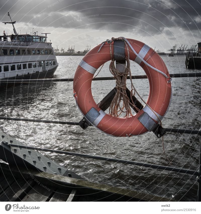 Rundblick Wasser Himmel Wolken Elbe Hamburg Hamburger Hafen Hafenstadt Sehenswürdigkeit Wahrzeichen Verkehr Schifffahrt Passagierschiff Rettungsring