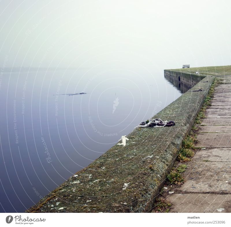 Moment Landschaft Nebel Ostsee Tier 1 Stein Beton Wasser Jagd blau braun Kai Bank Ruhe Stillleben Gedeckte Farben Menschenleer Textfreiraum links